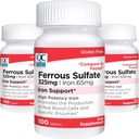Quality Choice Iron 65 mg (325 mg Ferrous Sulfate) Yüksek Potency Iron Support Supplement Tabletleri 100 Kont Şişede (3 Pack)