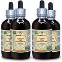 Türkiye Tail Mushroom (Trametes Versicolor) Tincture, Tray Mushroom Sıvı Ekstraksiyon (Brand Name: HerbalTerra, Proudly Made in USA) 4x4 fl.oz (4x120 ml)