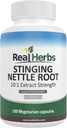 Real Herbs Stinging Nattle Root Extract 7500mg (750mg από 10:1 Extract) – Χορτοφαγικά Φιλικά, μη ΓΤΟ, Χωρίς γλουτένη – Υποστηρίζει Prostate & ούρα Υγεία – 100 κάψουλες