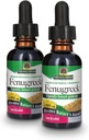 Doğanın Yanıtı Fenugreek Tohumu Organik Alkol 2000 mg 1oz Ekstraksiyon | Kadın Reproductive & Lactation Support | Natural Menopause Aid | Gluten-Free, Non-GMO, Vegan | 2 Pack