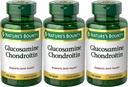 Nature's Bounty Glucosamine Chondroitin Kompleksi, 110 Kont (Pack of 3)