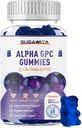 Alpha GPC Choline Gummies 600mg with Phosphatidylserine & Bacopa – 3-in-1 Brain Support for Memory, Focus & Long-Term Cognitive Health – Sugar-Free, Natural Formula, 60 Count