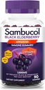 Sambucol Elderberry Gummies for Adults with Vitamin C; Zinc; Sambucus Elderberry Gummies for Immune support with High Antioxidants; Gluten Free; Vegan; 1 Gummy Per Serving; 90 Count (90 Day Supply)