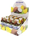 1. Adım Yüksek Performans Fitness B-12 Boost, 12-2oz Şişes