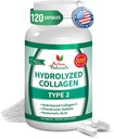 Collagen Type 2 Hydrolyzed Supplement with Chondroitin and Hyaluronic, for Healthy Hair, Skin, and Nails, No Fillers, Additives, and No Artificial Colors - 120 Vegetarian Capsules