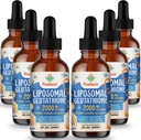 2000MG Liposomal Glutathionone Liquid, 98% Απορρόφηση, Active Form L-Glutathionone Supplement, Vegan Friendly, Ισχυρό Αντιοξειδωτικό Σύμπλεγμα για το ανοσοποιητικό σύστημα, Υπεράσπιση γήρανσης, Detox, 12 FL.OZ