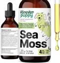 Forever Puppy Irish Sea Moss Drops for Dogs - Thyroid & Energy Support for All Breeds & Sizes - Συμπληρώματα διατροφής για σκύλους με εκχύλισμα Liquid Seamoss - Βιταμίνες και συμπληρώματα - Ζάχαρη & Αλκοόλ-Free -4 oz