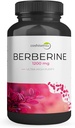 Berberine HCl 1200 mg - Kan Şekeri, Insulin & Kilo Yönetimi için Yüksek Potency Supplement - Non-GMO, Gluten-Free, Vegan Capsules – Heart & Metabolism Support, Made in USA – 60 Count