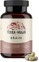 Terra Origin, Sağlıklı Beyin Tamamı, Capsules, 30 Hizmet, CDP Choline, Ginkgo Biloba Extract ve Bacopa - Sağlıklı Zihin için, Hafızayı Geliştirin, Recall and Function
