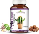 PyloEase | Ayurvedic Herbal Supplement Geleneksel Olarak Digestive Comfort & Daily Balance | Digestive Discomfort | 60 Veg Capsules'den Yardım Etmek için kullanılır ( 1)