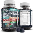 Terramineral Shilajit Gummies with Irish Sea Moss Tongkat Ali Ashwagandha Lion's Mane MACA Panax BTC Rhodiola & Cordyceps by Clean Nutra (1)