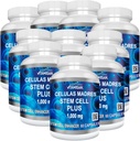 VITAMISAN 10 Şişeler Celulas Madres Stem Hücre Plus Capsules