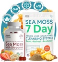 Atlantic Naturals Sea Moss Superfood Sche - Sea Moss Shrooms Gummies & 7Day Kidney, Liver & Gallbladder Cleanse - Savunma, Focus & Detox Desteği - Lion's Mane, Reishi, Dandelion Root & More