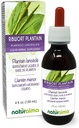 Naturalma Ribwort Plantain veya Narrowleaft Plantain (Plantago lanceta) Broşür Alkol Özgür Tincture - 4 fl oz Sıvı Ekstraksiyon - Herbal Supplement - Vegan