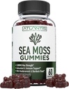 İrlandalı Deniz Moss Gummies - 3000MG - Formulaed w / İrlandalı Deniz Moss, Bladderwrack & Burdock Root, Contain Essential Vitamin & Mineral - Antioksi-Rich Superfood Supplement, 60 Sea Moss Gummies for Yetişkinler