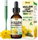 Lungs Supplement için Mullein Drops: Organik Mullein Leaf 30:1 Extract Tincture with Chlorophyll - Herbal Supplement Support Lung Cleanse & Respiratory Function - Non-GMO, Vegan - 2 Fl Oz