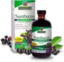 Nature's Answer Sambucus Elder Berry Extract Syrup 8 Ounce ( 3 Pack ) | Daily Immune Support | Antioksis | Family Friendly | Flue Season Defender