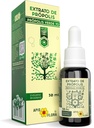 Apis Flora Green Propolis Extract 70-30 Ml Γραμμή πρόπολης