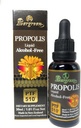 Evergreen Propolis Sıvı Alkol Ücretsiz Tincture 30 ml PTF1170 (Contains 1170 Propolis Flavono) Yeni Zelanda'da Made in New Zealand