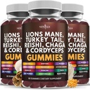 NEW AGE Mushroom Lion's Mane Supplement Gummies - Ολοκληρωμένο συμπλήρωμα μανιταριών με Reishi, Cordyceps - 180 Count