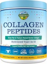 Terranics Hydrolyzed Collagen Peptides Powder, Grass Fed & Pasture Αυξημένα Βοοειδή, τύπου I & III Collagen για γυναίκες, χωρίς ζάχαρη, χωρίς ορμόνες, Keto, υποστήριξη ομορφιάς, εύκολο μείγμα, χωρίς γεύση, 16oz