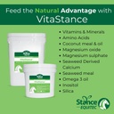 Stance Equitec VitaStance Vitamini, Mineral ve Deri Asit Supplement for Horses, 28.5 lb