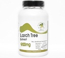 Larch Tree Extract 900 mg Arabinogalactan (AG) - 180 Capsules - Hayır Katkılar