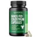 Grass Fed Colostrum Supplement for Immune and Gut Health - 1000mg Bovine Colostrum per Serving with 40% IgG - 90 Count - Non-GMO, Gluten-Free Colostrum Capsules for Adults - 45 Day Supply