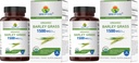 Brieofood Organic Barley Grass 1500mg, 45 Servings, Vegetarian, Gluten Free, 90 Vegetarian Tablets (Pack of 2)