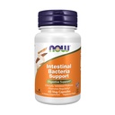 Now Intestinal Bacteria Support, Clinically Validated Probiotic, Promotes Regularity*, 60 Veg Capsules