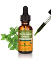 Herb Pharm Peppermint Spirits Liquid Extract: Organic Herbal Digestion Support | Mentha piperita Tincture | Fast-Absorbing for Occasional Nausea & Upset Stomach Support, Up to ~3 Week Supply, 1 oz*