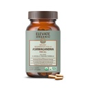 Regenerative Fermented KSM-66 Ashwagandha Vegan Capsules with Acti Veda™ (600mg, 30 Servings), Up to 150% More Effective Than KSM-66 Alone