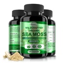 Irish Sea Moss Capsules Pills with Raw Sea Moss & Wildcrafted Bladderwrack & Burdock Root 120 Capsules, 2 Packs