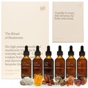 Mushroom Extract Tincture (Ritual of Mushroom)