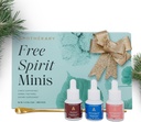 Apothékary Free Spirit Minis Set | Yeni Edition, Herbal Liquid Drops, Wine Down, Rosé-Tinted Gözlükleri içerir, Edge Off & 1 Gold Spoon, Sugar Free, 3 Şişeler, Şişeler Için 15 Ürün