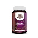 HerbEra Earth's Love - Quinine 60 Capsules, 500 mg, Wildcrafted Quinine (Cinchona officinalis) Dried Bark (60 Capsules)
