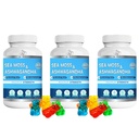 Title Sea Moss Ashwagandha Gummies - Organic Irish Sea Moss Blended with Burdock Root & Bladderwrack - Natural Energy & Calm Support for Adults - 3 Packs