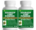 2 Packs Soursop Graviola Capsules 500mg Pure Natural Soursop Capsules Leaves Fruit Powder - 100 Capsules (2 Packs)