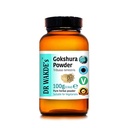 DR WAKDE'S Gokshura Powder (Tribulus terrestris) - 100g (3.5oz) | Pure, Raw & Dried Powder | Natural Aroma and Freshness | Fine Powder | Vegan | Premium Grade | Nothing Added, Nothing Removed