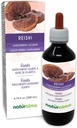 Naturalma Reishi (Ganoderma lucidum) Fungus veya Mushroom Alkol-Free Tincture - 6.76 fl oz Sıvı Ekstraksiyon - Herbal Supplement - Vegan