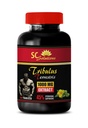 High-Intensity Activity - TRIBULUS TERRESTRIS - Energy and Focus, Training Progress, Physical Durability, Natural Energy, Workout Recovery, and Strength Resilience 1 Bottle 90 Capsules