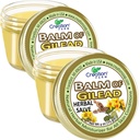 Balm of Gilead Herbal Salve Jar 2 Pak Balsamo pomada herba calmar el Dolor Creation Farm