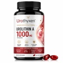 Urolithin A Supplement Mitochondrial Support Focus & Muscle Recovery for Men and Women – 120 Softgels