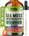 Pella Beslenme Deniz Moss, Bladderwrack ile Düşüyor – 4X İrlanda Denizi'nden Daha Hızlı Az, Gummies ve Capsules – Digestive & Immune Support Supplement (Strawberry Lime, 60mL)