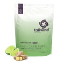 Tailwind Nutrition High Carb Fuel, Energy Drink Powder with Electrolytes, Free of Soy, Dairy, and Gluten, Vegan-Friendly, Ginger Lime, 16-Serving Pack