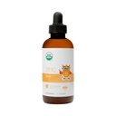 Organic Liquid Zinc by Dr. Ana Maria Temple | Immune & Skin Support | USDA Certified Organic, No Artificial Ingredients or Natural Flavors | Family Friendly Dosing | 4 Fl Oz