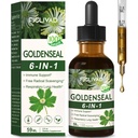 Goldenseal Root Extract Liquid Drop, 6-in-1 Formula for Immune and Respiratory Lung Health Support, Goldenseal Supplement with Echinacea Golden Seal, Mullein Thyme. Fast Absorption. 2oz