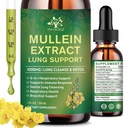 (2 Pack) 6 Lungs için 1 Mullein Drops, Organik Mullein Leaf Extract Tincture for Lungs, Detox Cleanse & Respiratory for Breathing Health, Mullein Oil Supplement Immune Support, Vegan, 1 Fl Oz