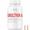 Urolithin A Supplement 1000mg | Mitochondrial Supplements Support | Healthy Anti-Aging and Cellular Renewal | Mitoceutical for Enhancing Muscle Strength | Ultra Micronized | 120 Capsules |