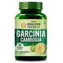Vlado's Himalayan Organics Garcinia Cambogia Tea Extract 1500Mg Supplement | Weight Loss Management, Fat Burner | Boosts Metabolism & Energy Levels- 60 Veg Capsules